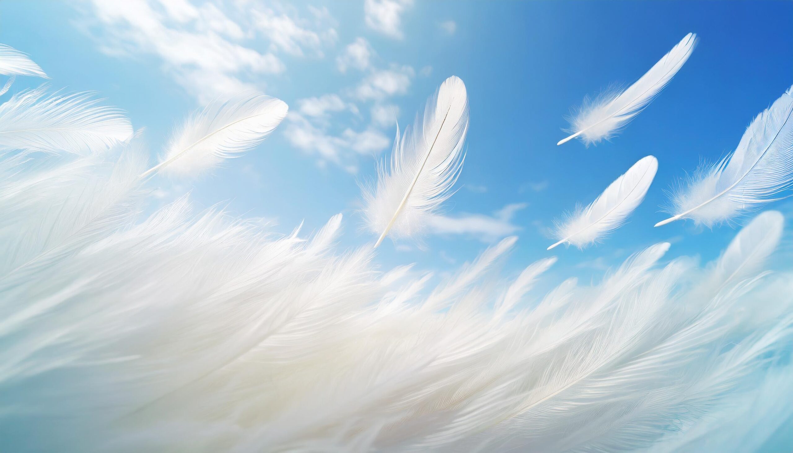 薄肉成形向けポリプロピレン